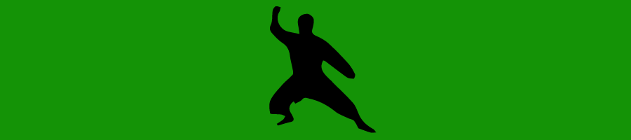 Karate - SEGPA-04