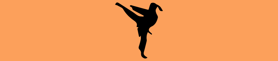 Karate - SEGPA-06