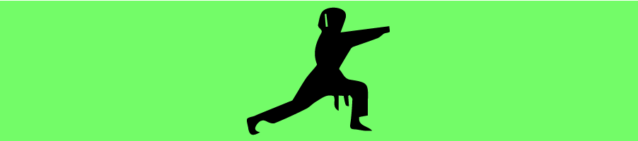 Karate - SEGPA-11