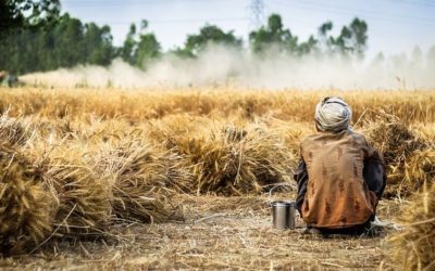 Chapitre 4 : L’alimentation : les défis pour nourrir une humanité en croissance