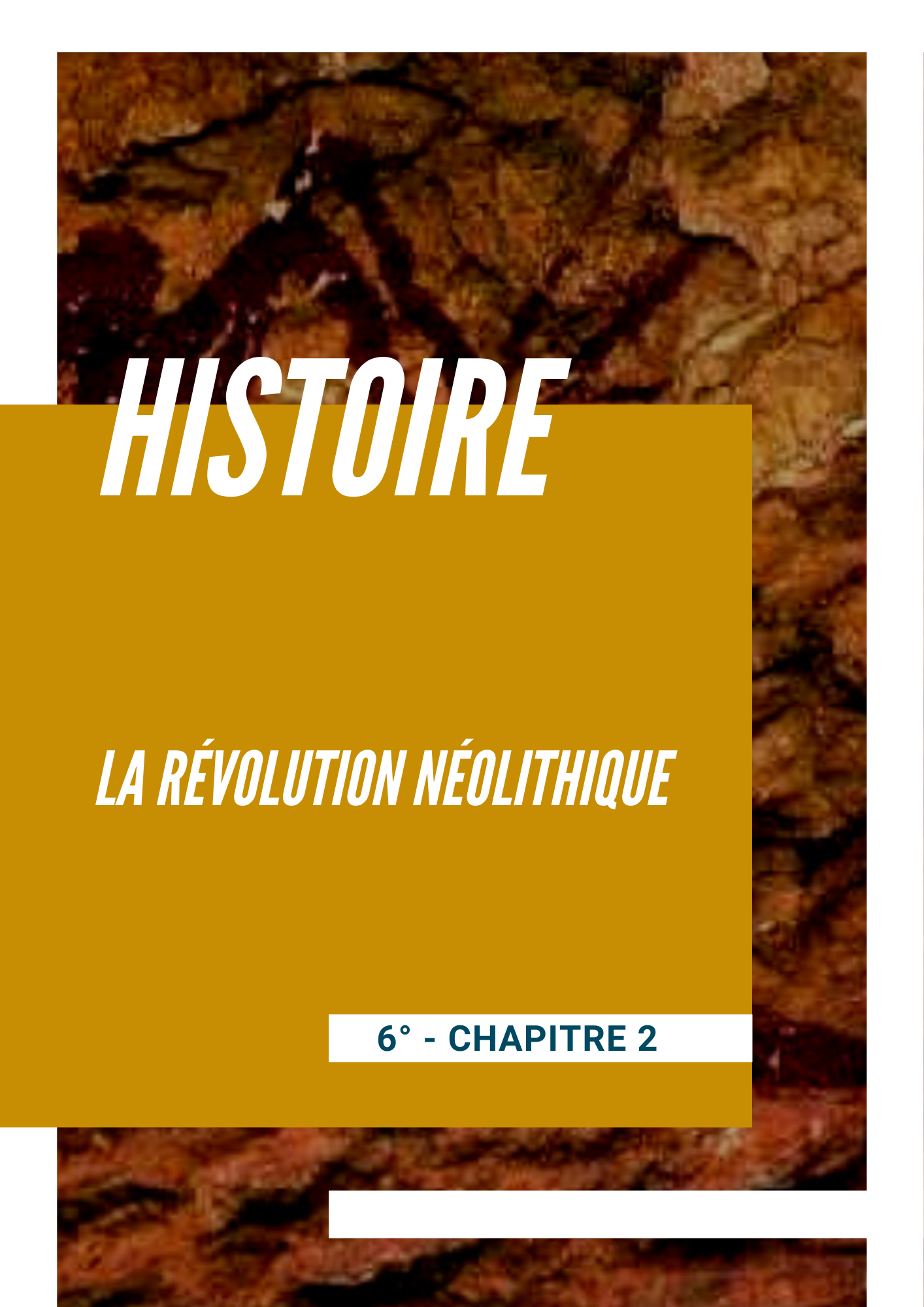 Chapitre 2- La révolution néolithique