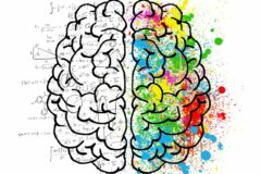 brain-2062057_1280